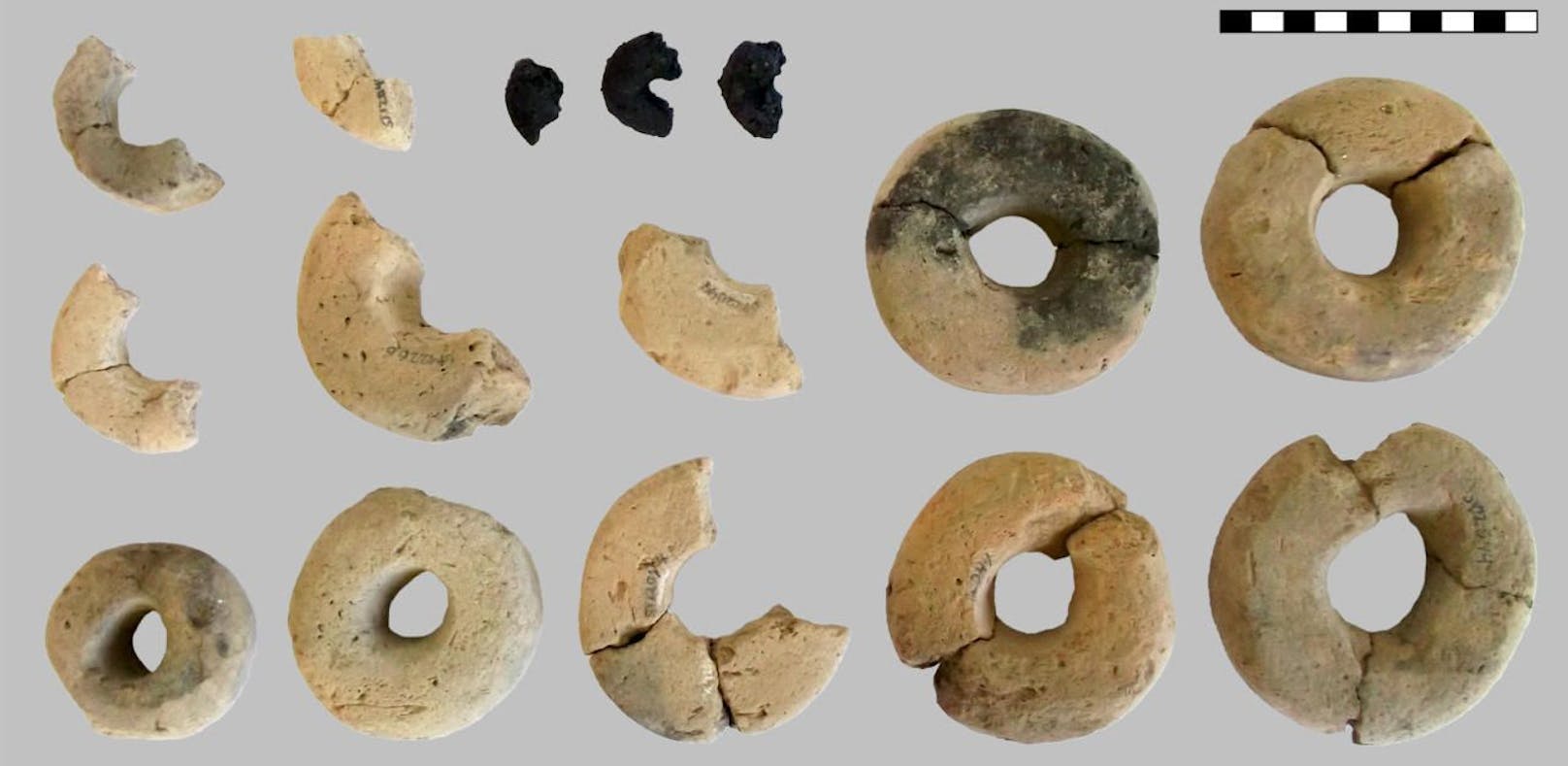 Forscher entdeckten prähistorische Mini-Bagels