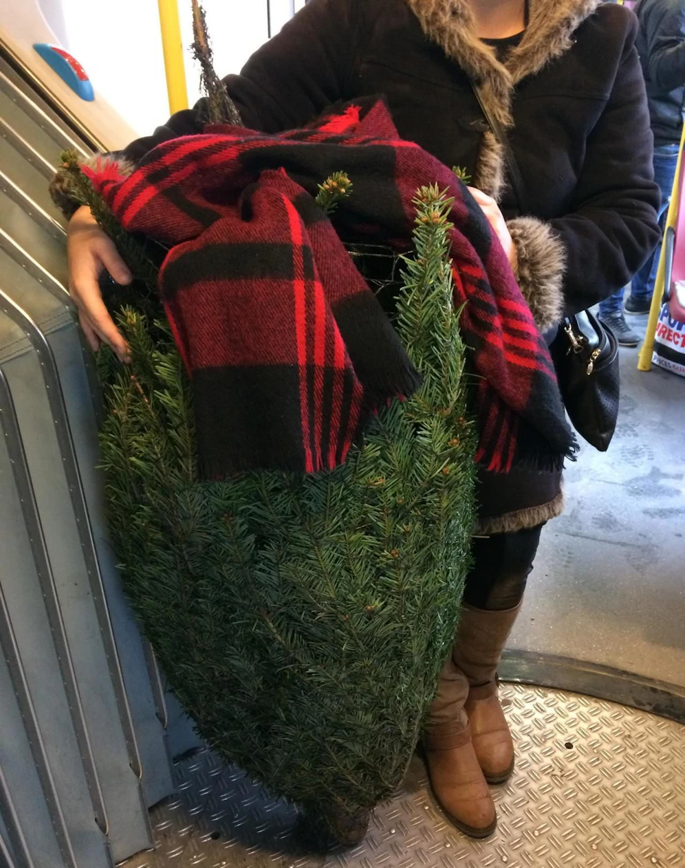 Ein Christbaum im Bus? Das ist nur in Ausnahmefällen erlaubt!