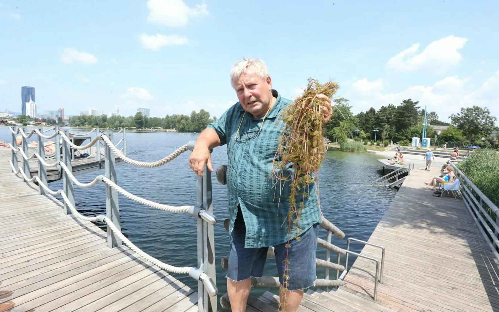 Peter Herbst (75) ärgert sich über die Schlingpflanzen an seinem Steg.
