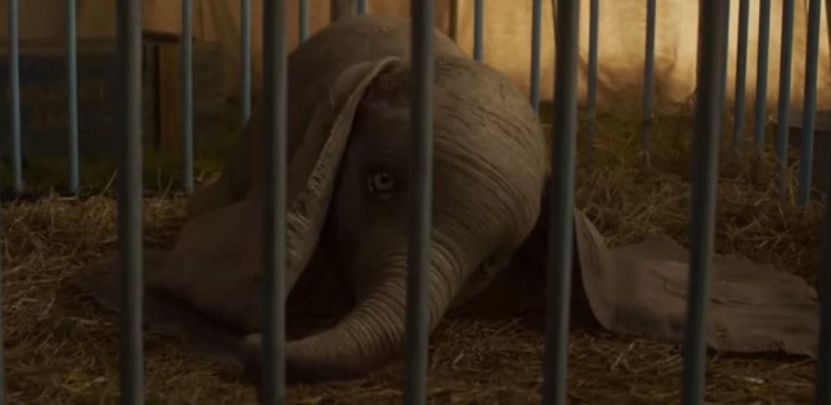 Dumbo lässt in neuem Trailer Ohren schlackern