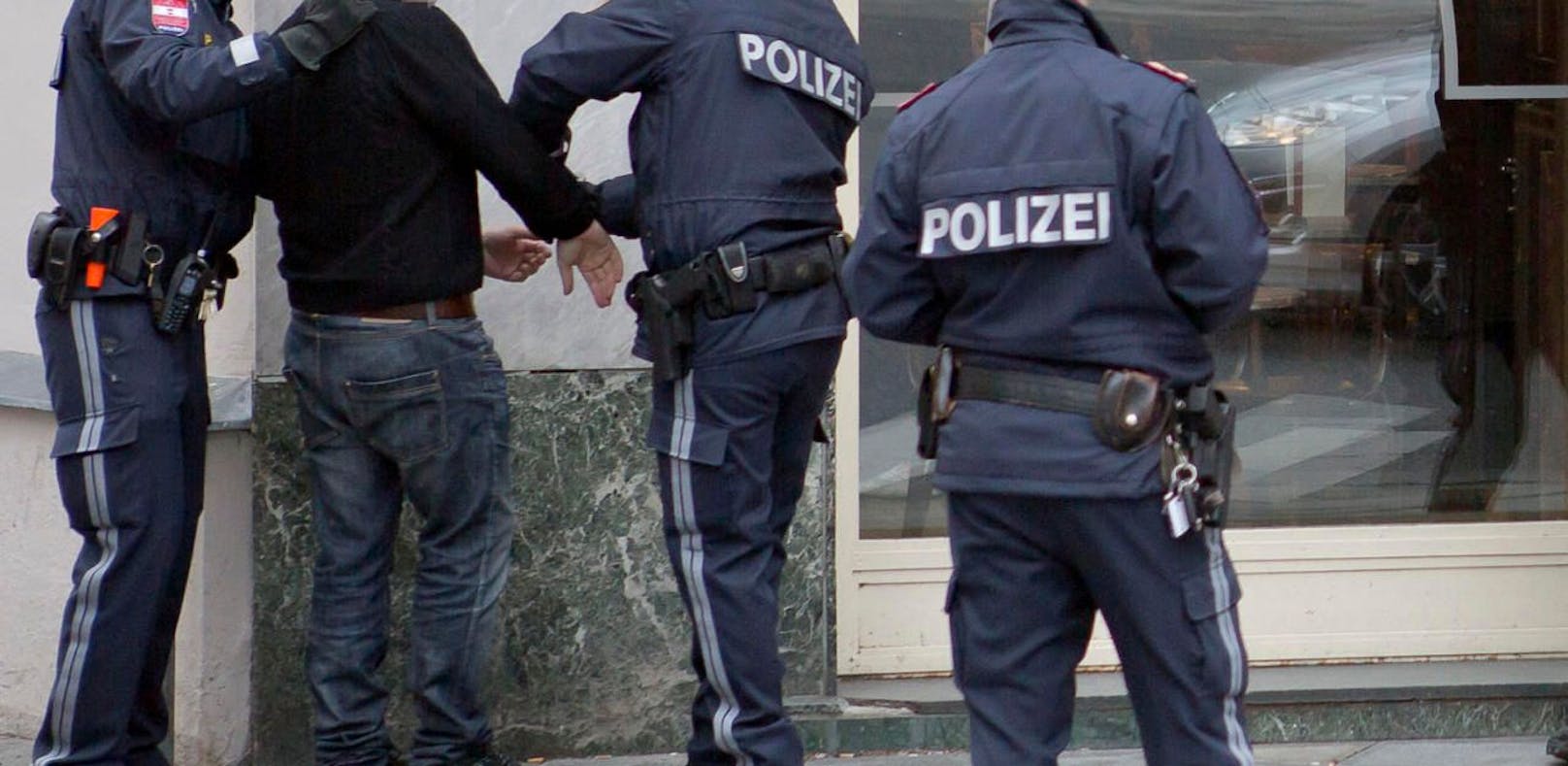Der Verdächtige wurde von Wiener Beamten festgenommen.