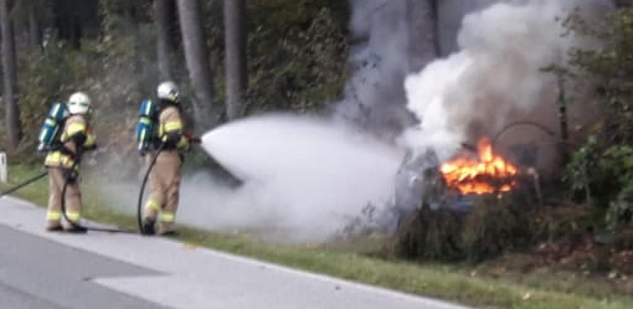 Heute.at - Tesla fängt Feuer, brennt am Straßenrand völlig aus