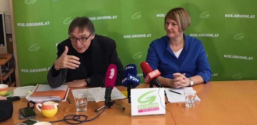 Helga Krismer bei der Pressekonferenz in Niederösterreich.