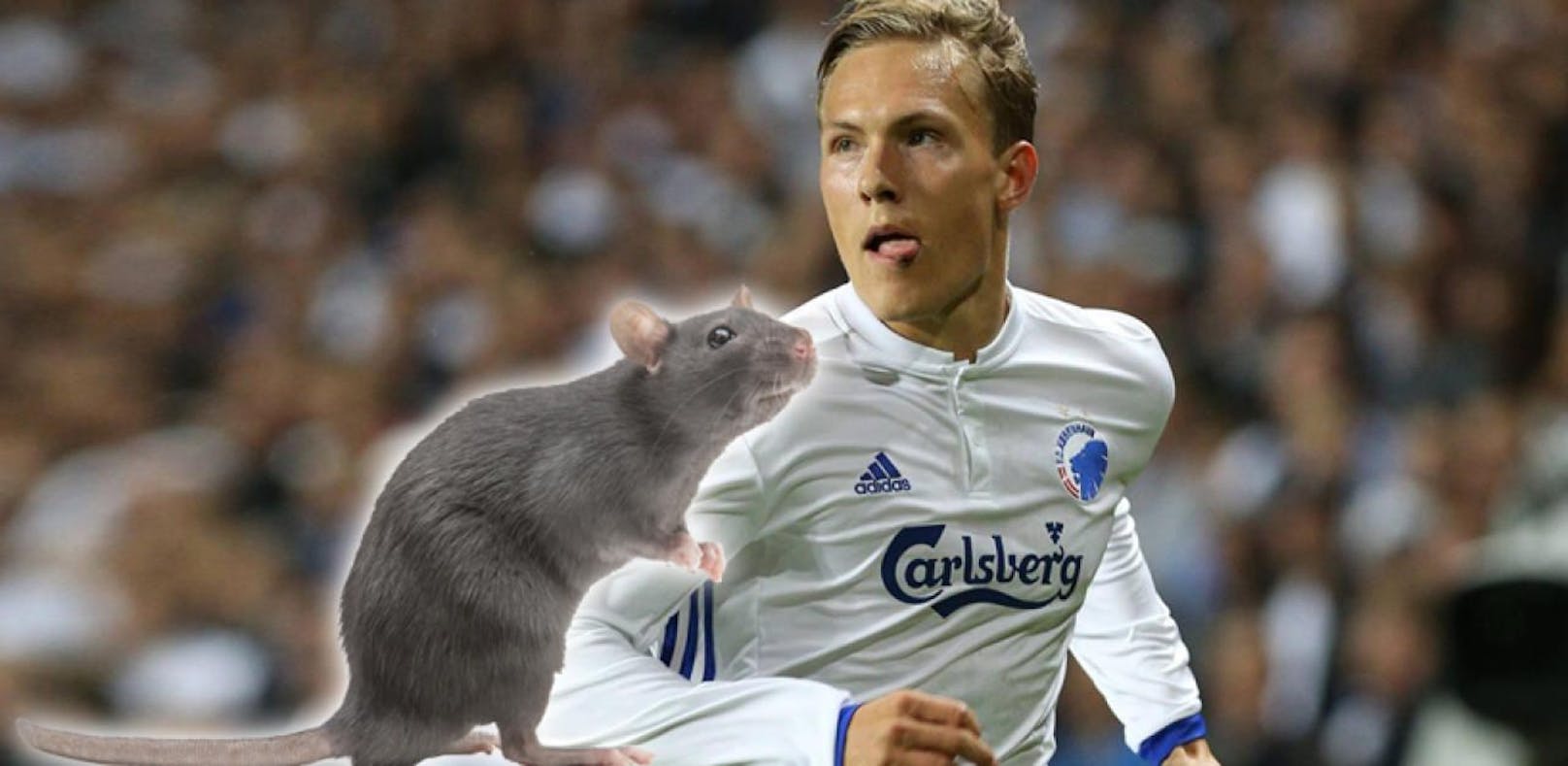 Heftig! Fans bewerfen Spieler mit toten Ratten