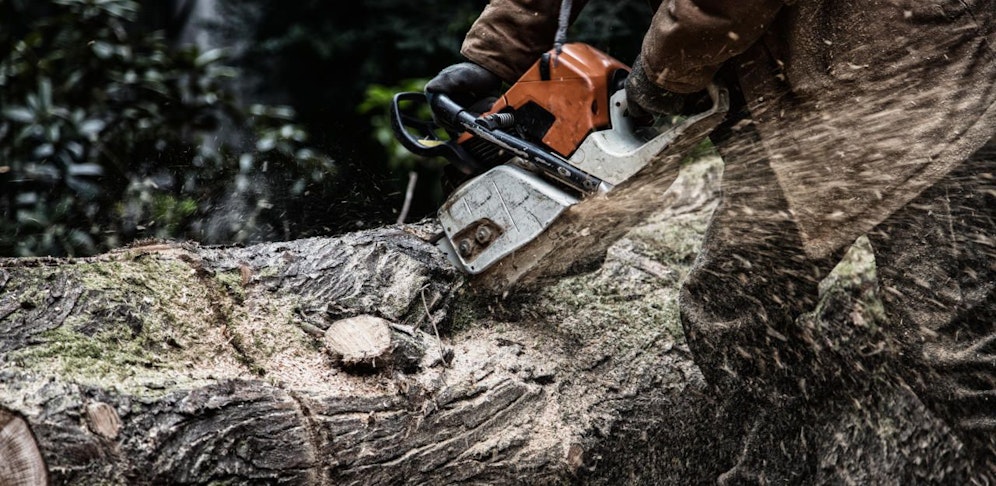 Der Unfall passierte bei Wald-Arbeiten im Bezirk Murau.