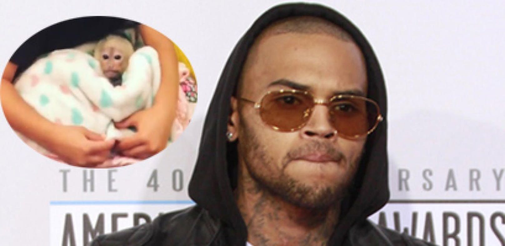 Illegaler Affen-Kauf bringt Chris Brown vor Gericht