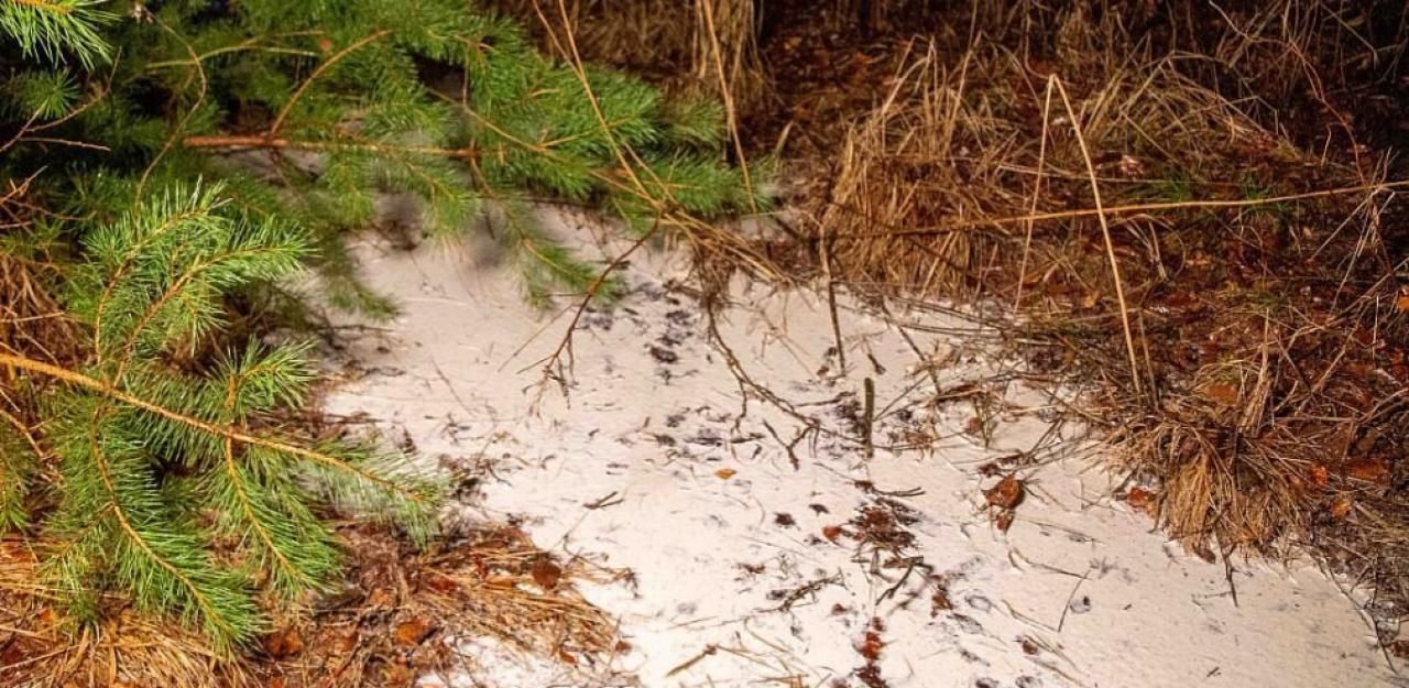 Heute.at - Tausende Liter Milch bei Unfall ausgelaufen