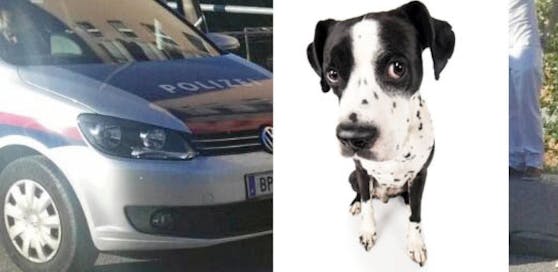 Polizei-Einsatz in Wiener Neustadt wegen Hund.