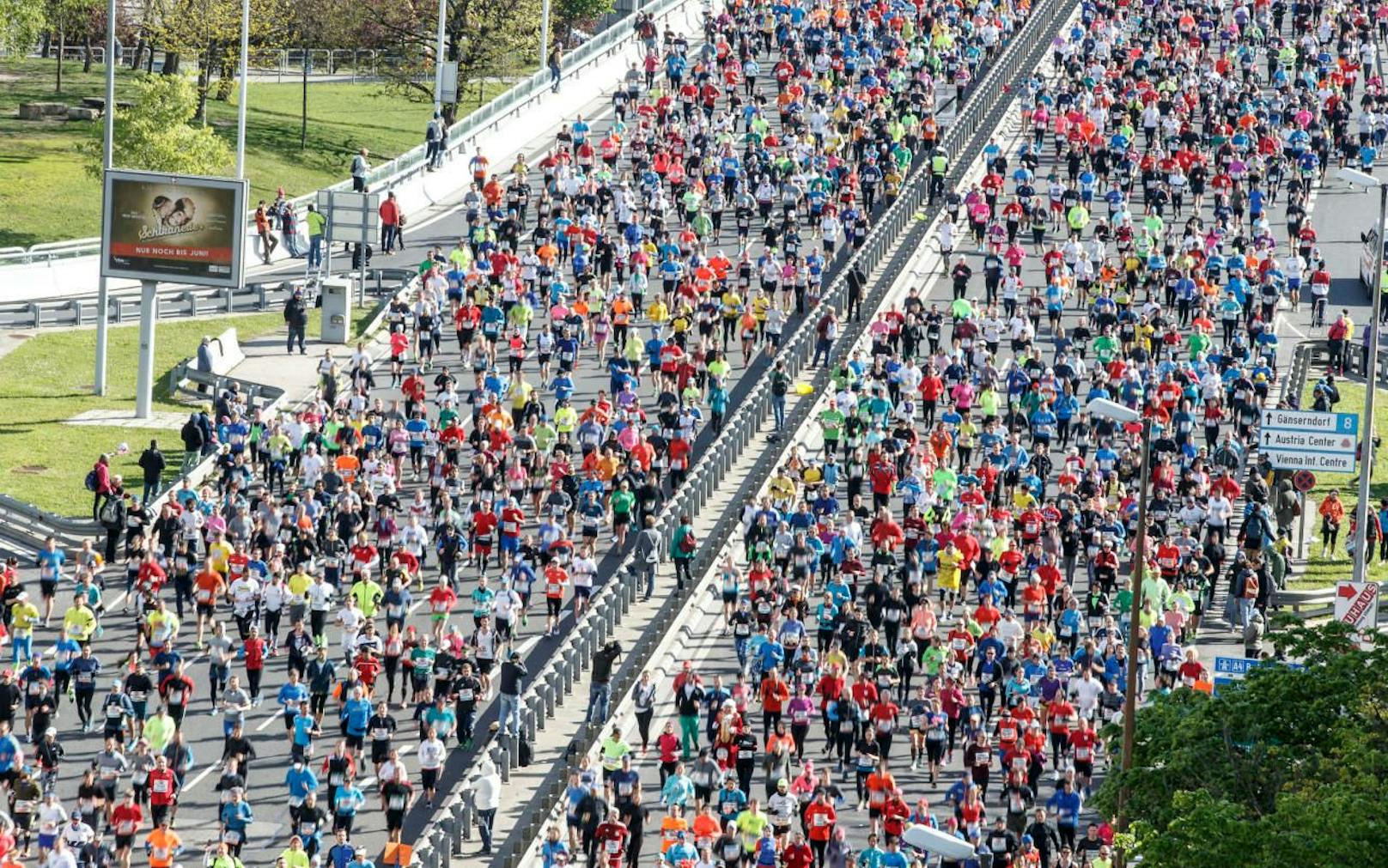 Nicht nur beim Vienna City Marathon wird fleissig Bewegung gemacht!