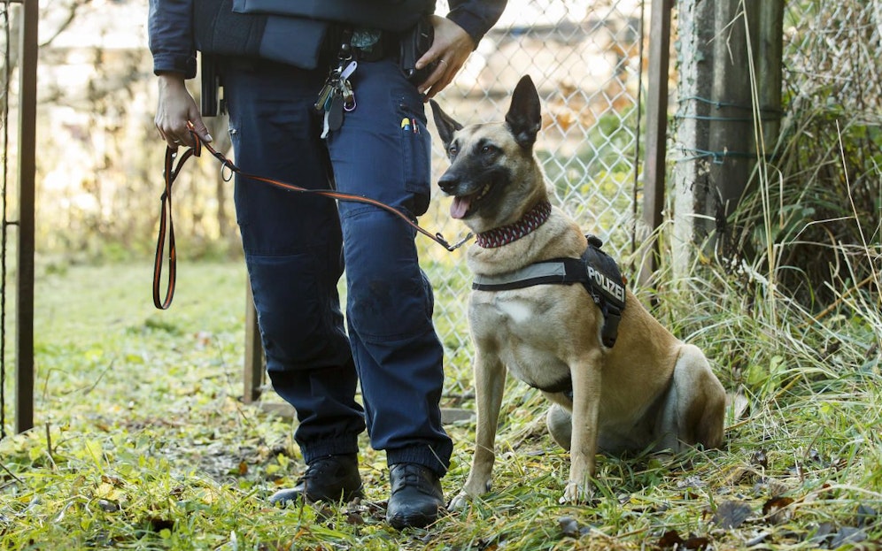 Spürhund "Abby - Bora vom Wagramland" anlässlich eines Fototermins im Rahmen der "Soko Friedrich" am Montag, 20. November 2017, in Voitsberg.