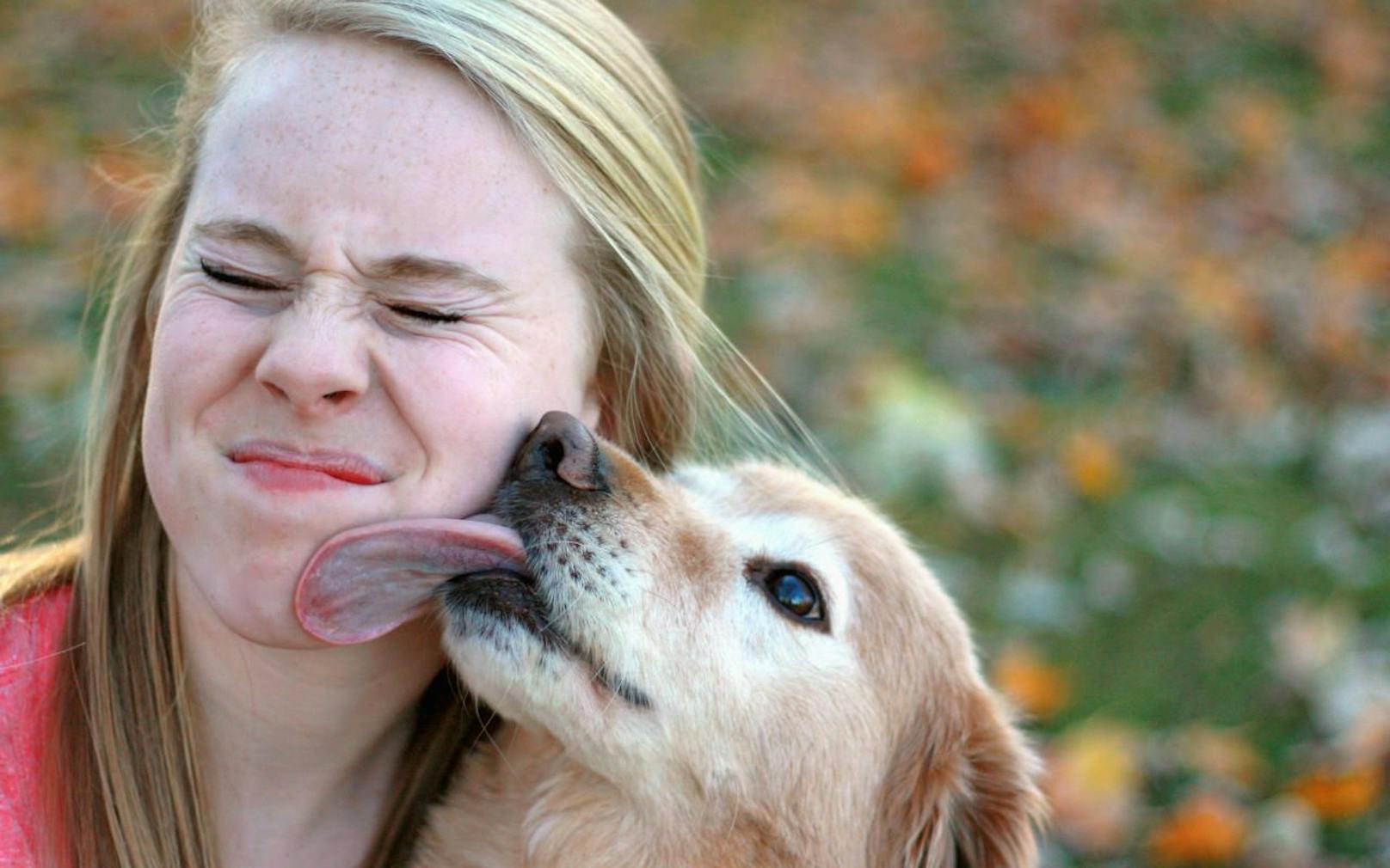 Vorsicht! Mit ihrer Zunge können Hunde gefährliche Keime weitergeben.