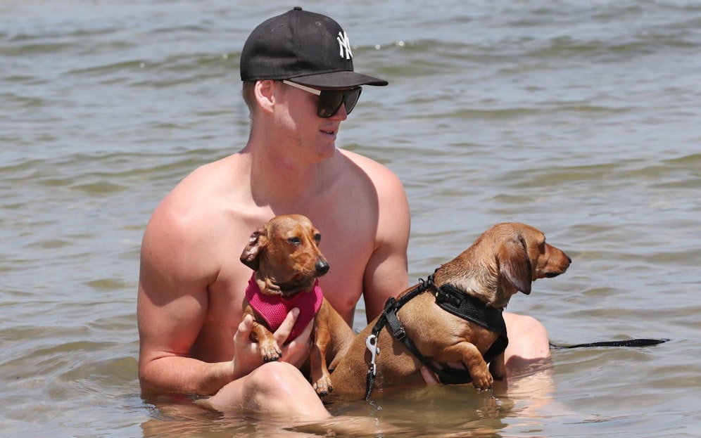 49,3 Grad: Da brauchen auch die vierbeinigen Gefährten von James D'Arcy eine Abkühlung.