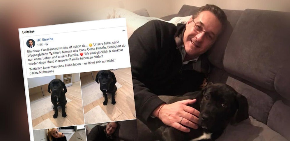 Ein neues Familienmitglied.