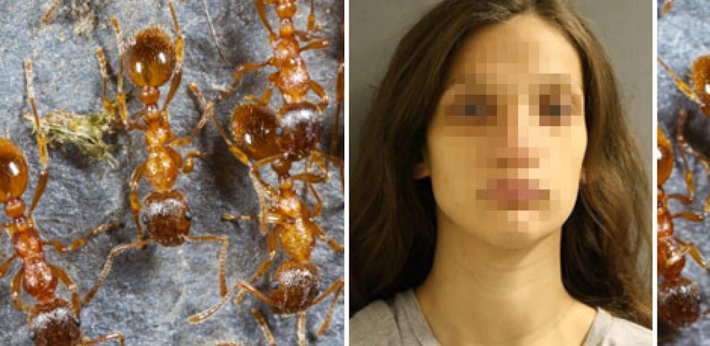 Sidney W. (21) will ihre Schwangerschaft nicht bemerkt haben. Sie ließ ihr Baby hinter einem Wohnbau allein zurück.