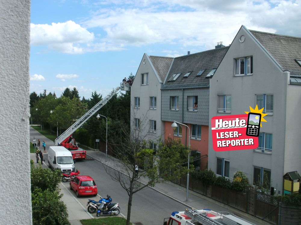 Feuerwehr Rettet Katze Vom Dach – Community | Heute.at