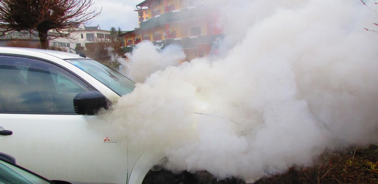 Heute.at - Mitsubishi brennt während Thermenurlaub ab