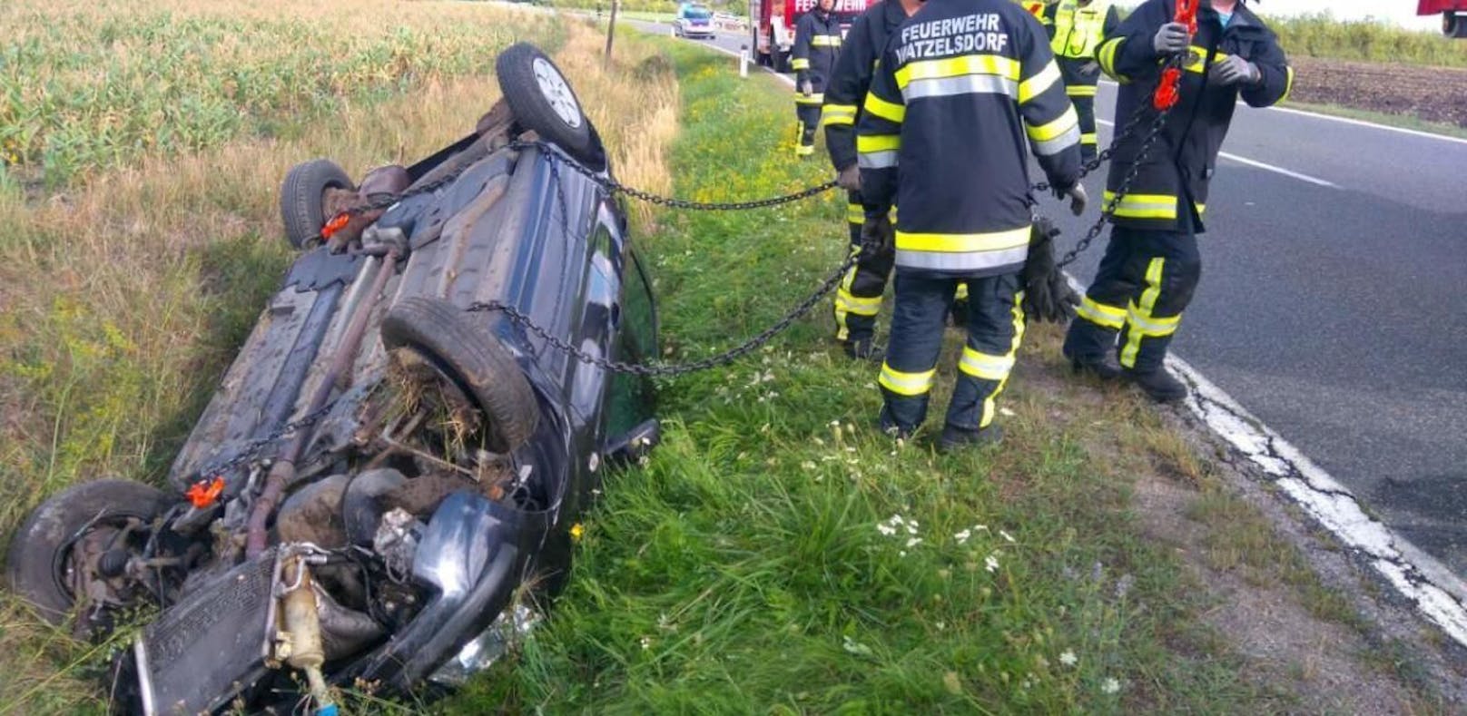 Feldhase löst Crash aus: Pkw-Lenkerin verletzt