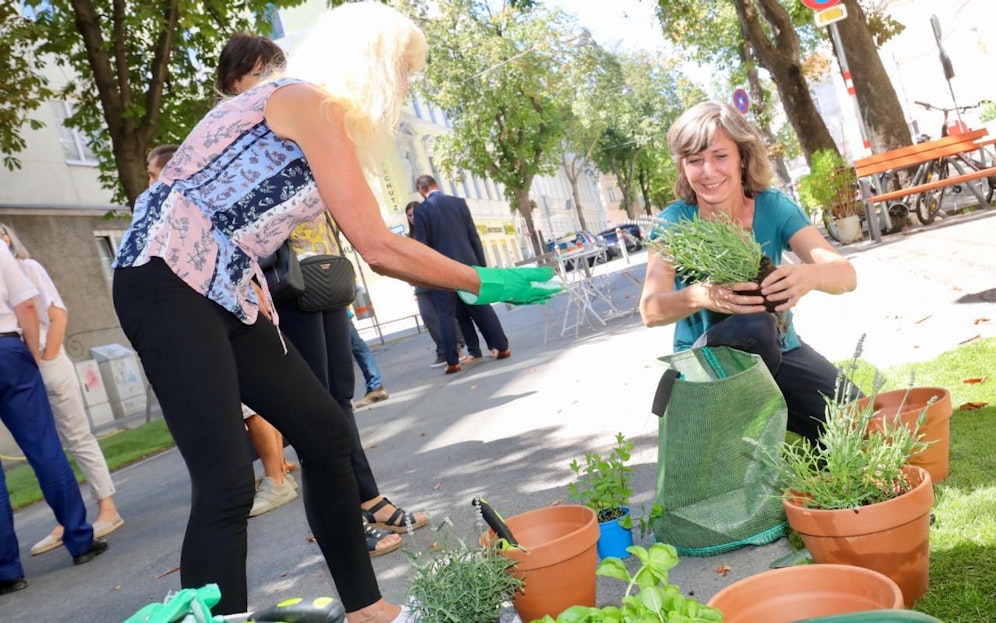 Im August "gartelte" sich Vizebürgermeisterin Birgit Hebein durch die Eröffnung der ersten "coolen Straße" in der Hasnerstraße (Ottakring). Diese kamen so gut an, dass im nächsten Sommer nun in jedem Bezirk eine "coole Straße" entstehen soll.   
