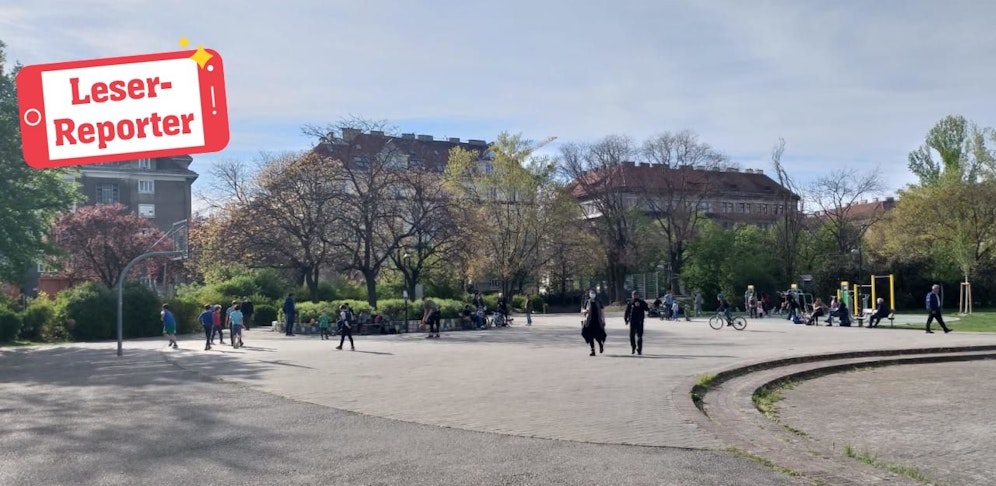 Leserreporter: Tumult im Vogelweidpark
