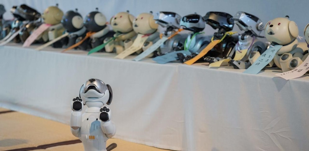 Begräbnis der Roboterhunde 