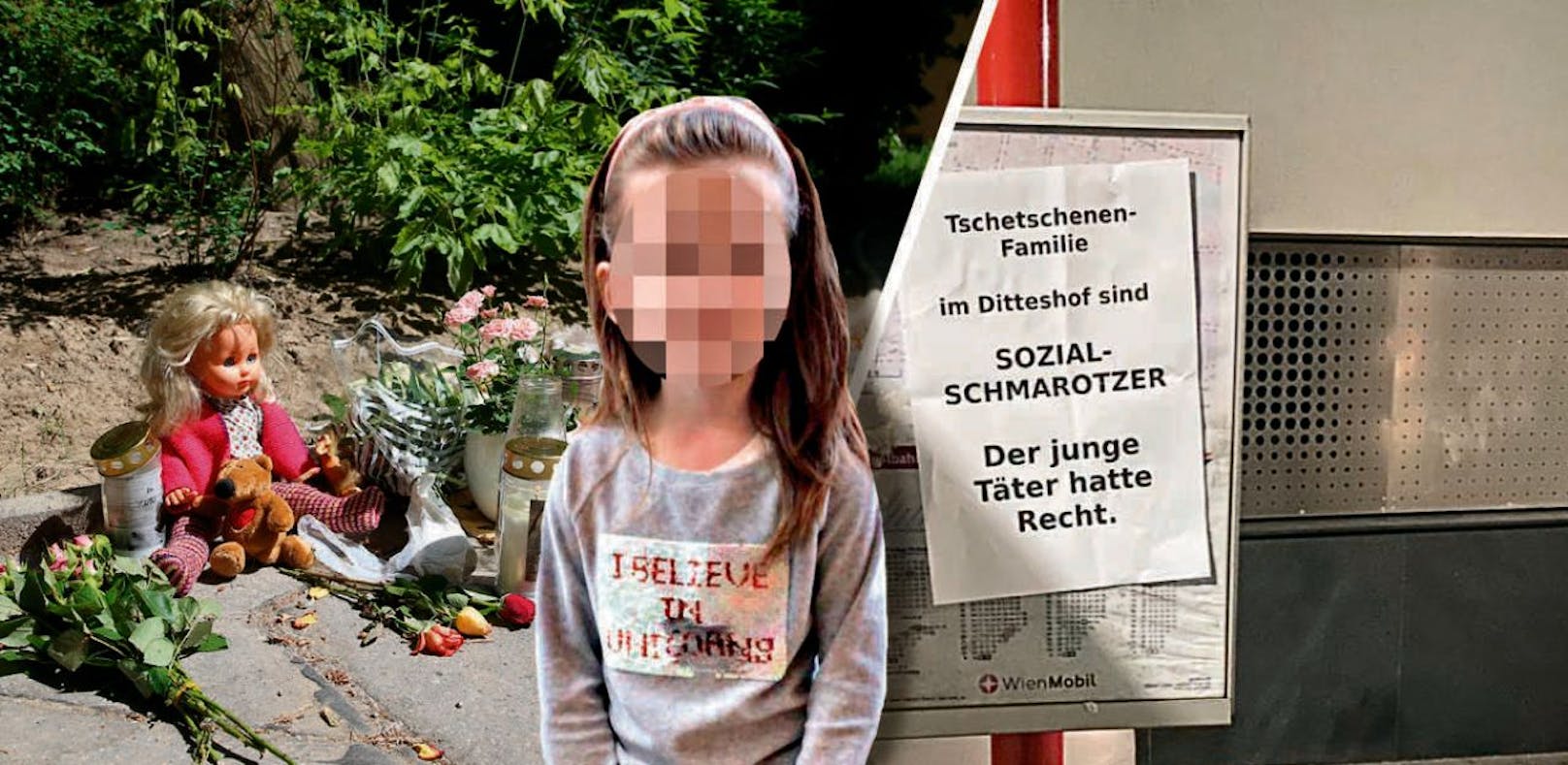 Dieses Plakat sorgt für Entsetzen in Wien-Döbling.