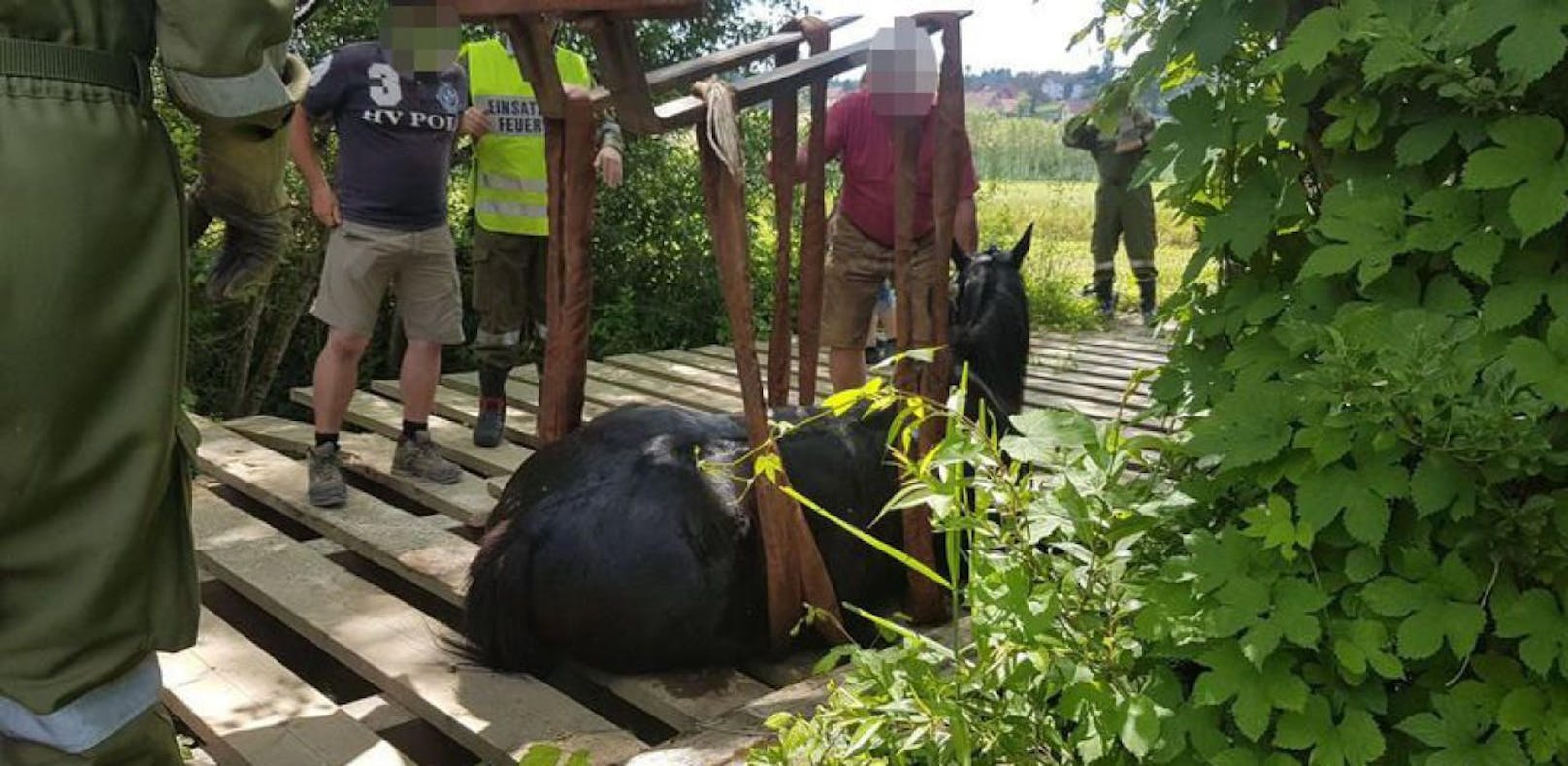 Fehltritt: Kutschen-Pferd brach durch Brücke