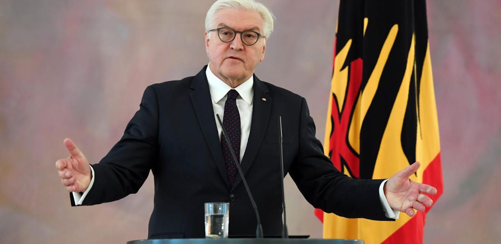 Der deutsche Bundespräsident Frank-Walter Steinmeier