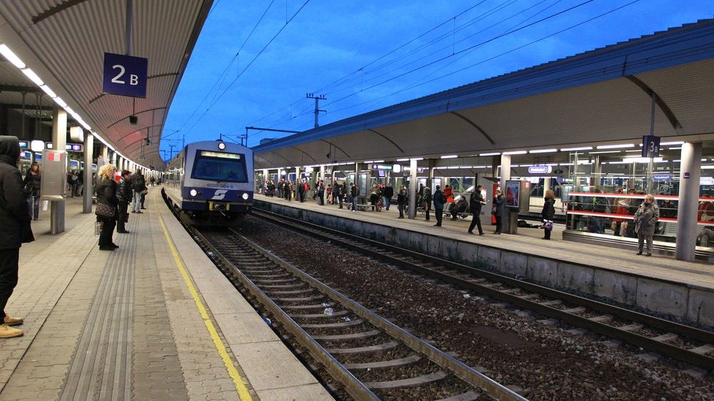 Krähe legte die S-Bahn im Frühverkehr lahm - Wien | heute.at