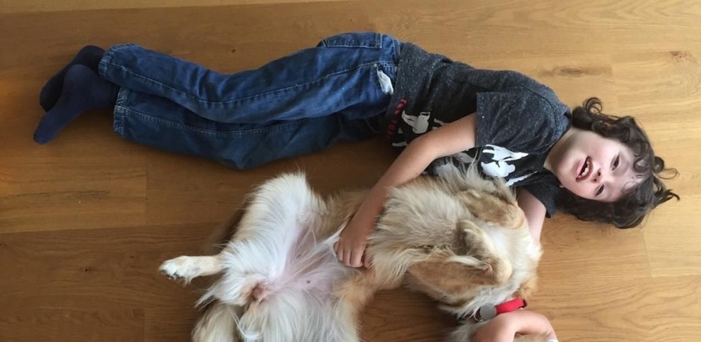 Der siebenjährige Samson braucht einen Diabetikerwarnhund. Mit den Erlösen des Stadlfestes in Leitzersdorf soll ihm geholfen werden.