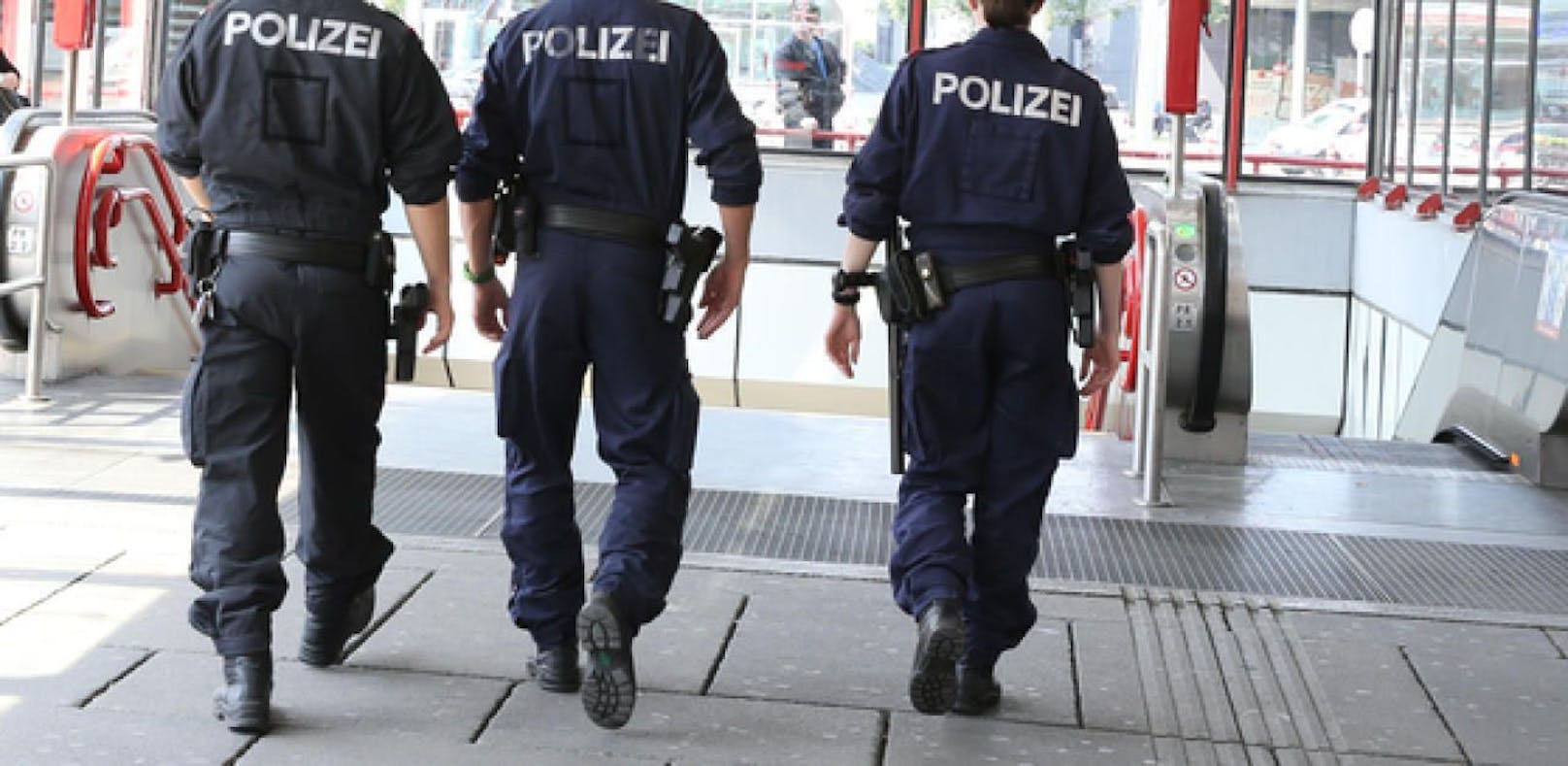Wiener Polizisten wegen Misshandlung suspendiert
