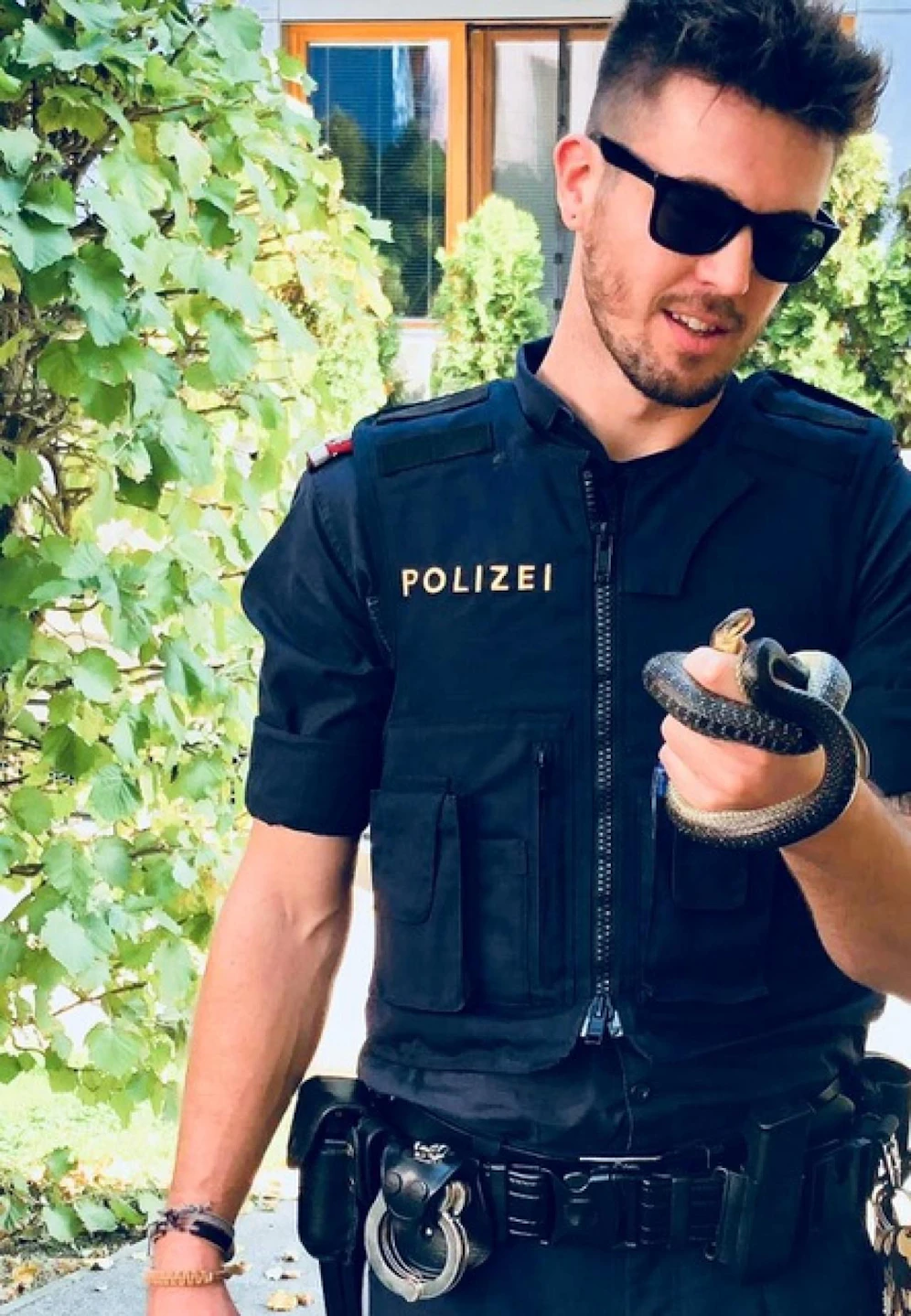 Tierische Rettung für die Schlange.
