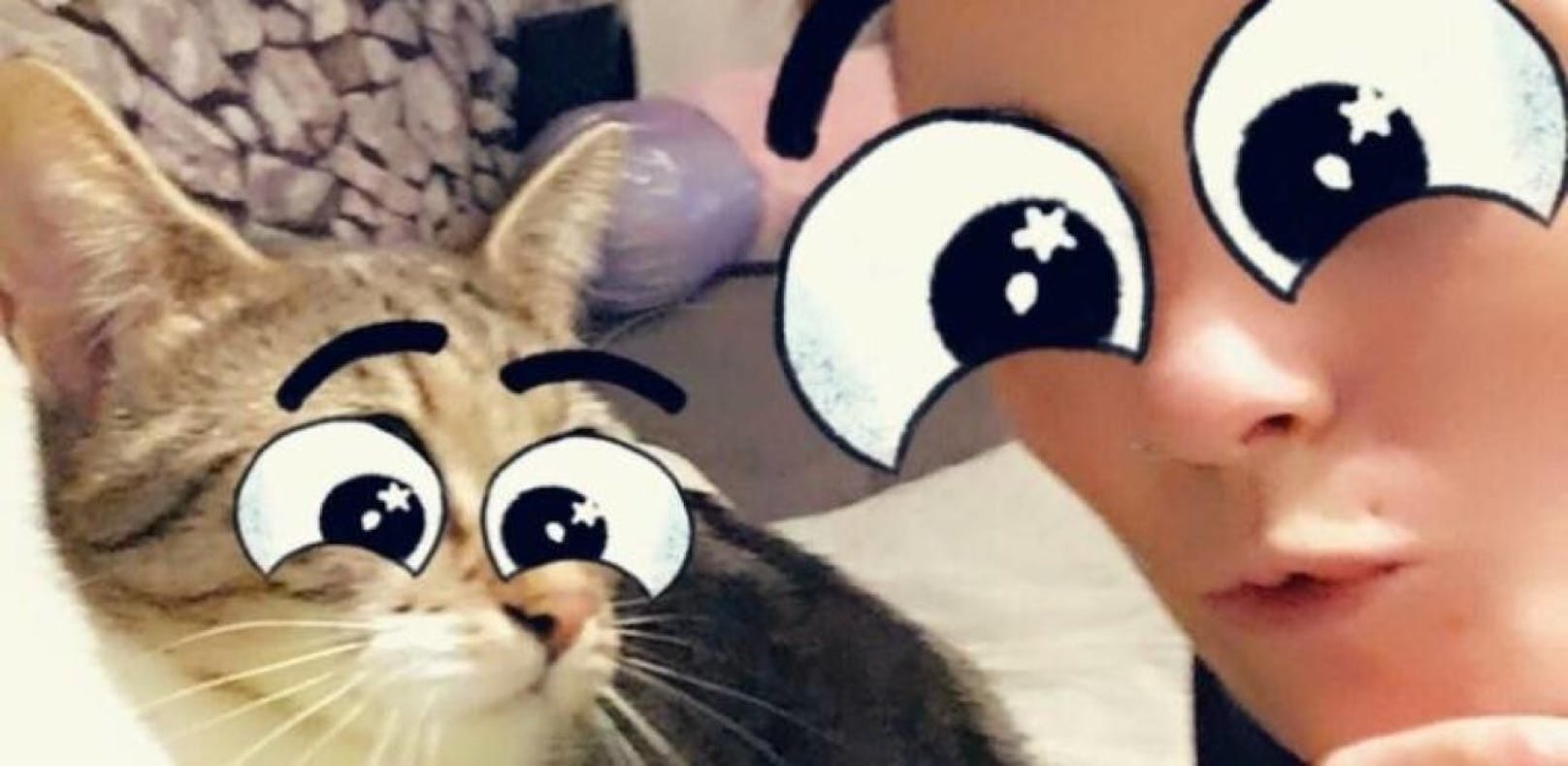 So süß sind unsere Katzen auf Snapchat