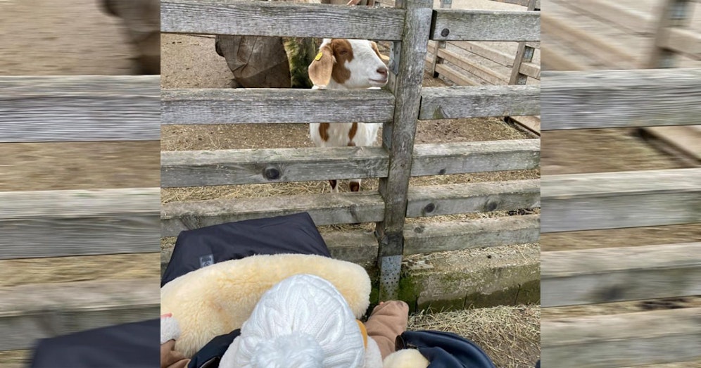 Österreich hat unglaublich schöne Flecken und der Bauernhof ist immer ein heißer Tipp mit kleinen Kindern.