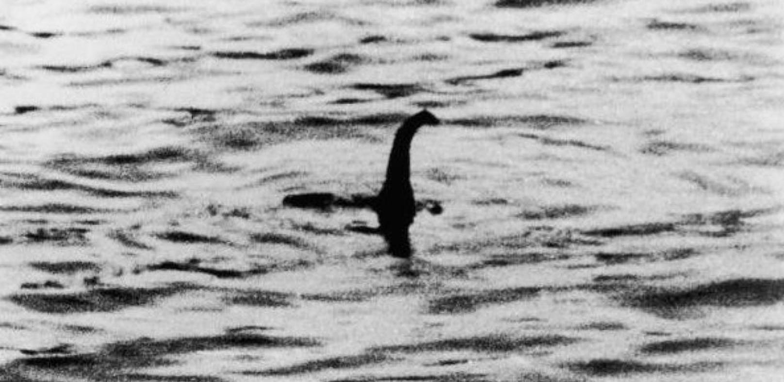 DNA-Probe von Loch Ness soll den Beweis liefern