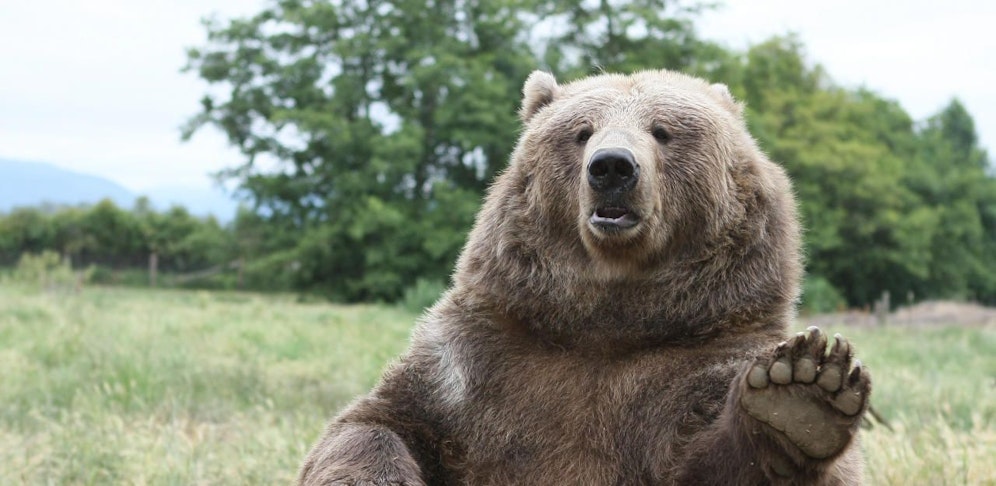 Das Pärchen hatte Angst einen Bären zu begegnen.
