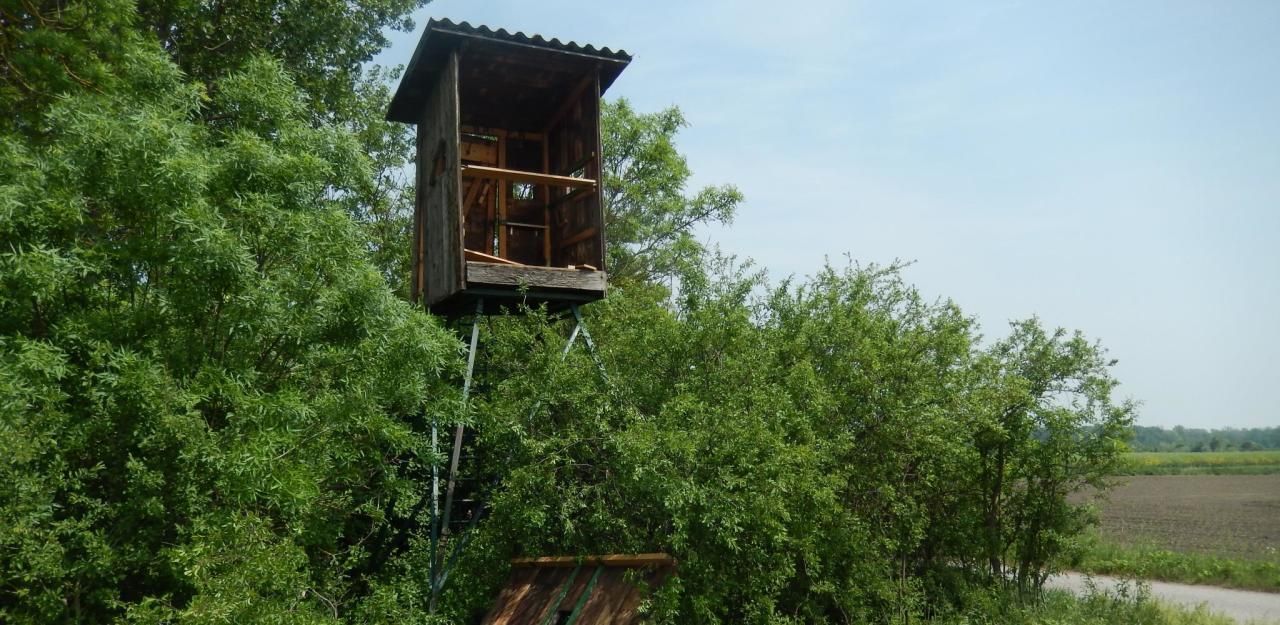 Ein mobiler Hochstand wurde dem 75-jährigen Winzer zum Verhängnis. (Symbolbild)