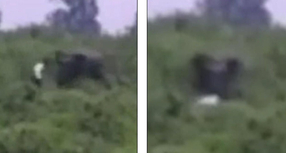 Das Drama: Der Elefant jagt den Touristen (li.), dann stolpert und stürzt der Urlauber (re.), sein Todesurteil. 