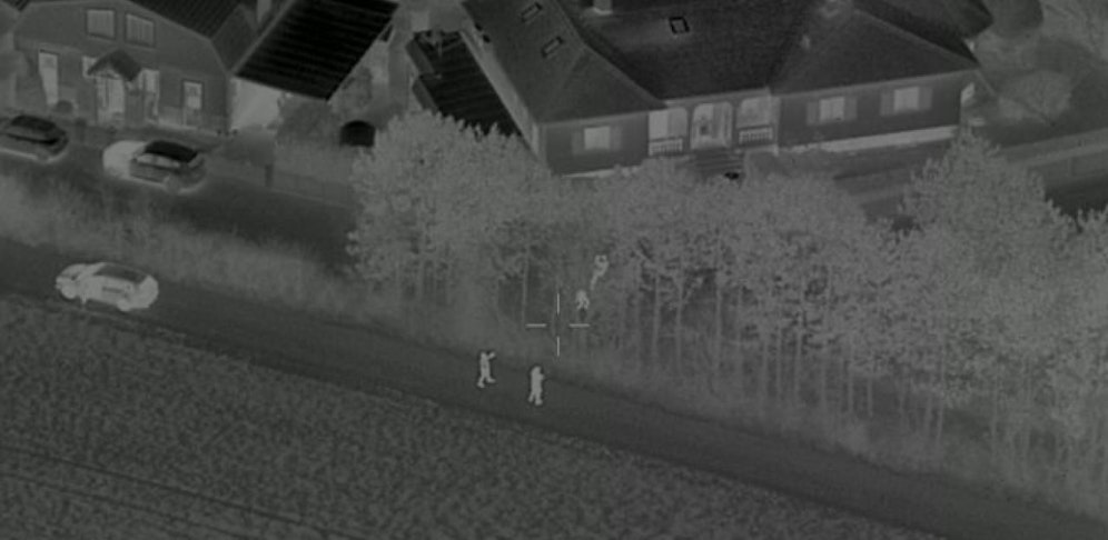 Die Einbrecher saßen auf einem Baum.