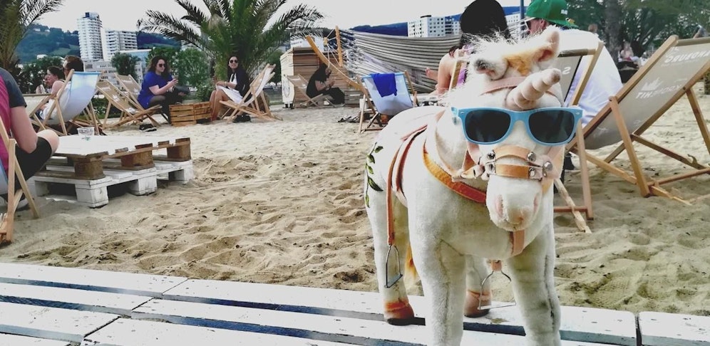 Von Fritz, dem Einhorn, fehlt momentan jede Spur. Wer hat es gesehen?