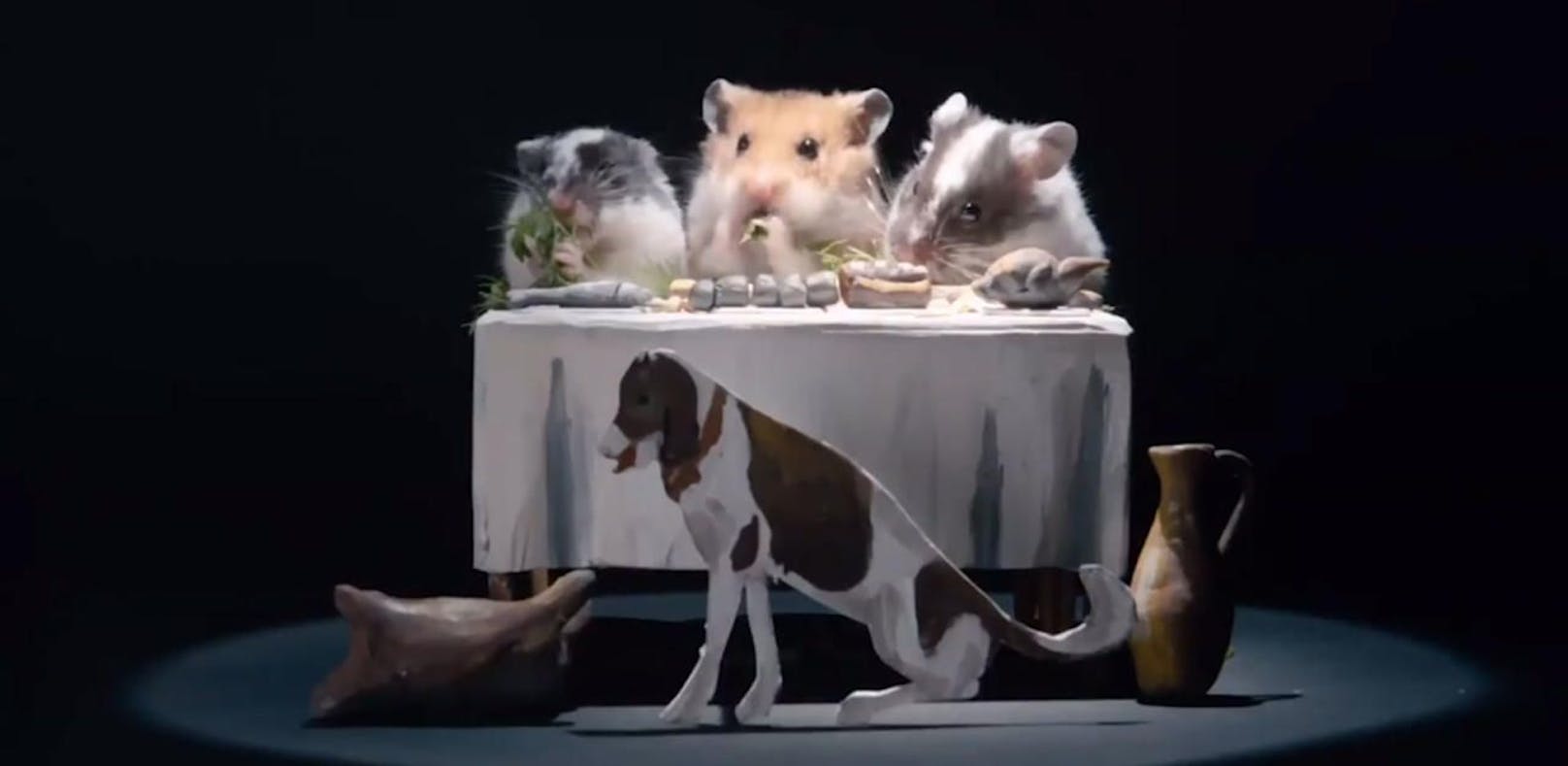 Verfressene Hamster werden zu Werbestars