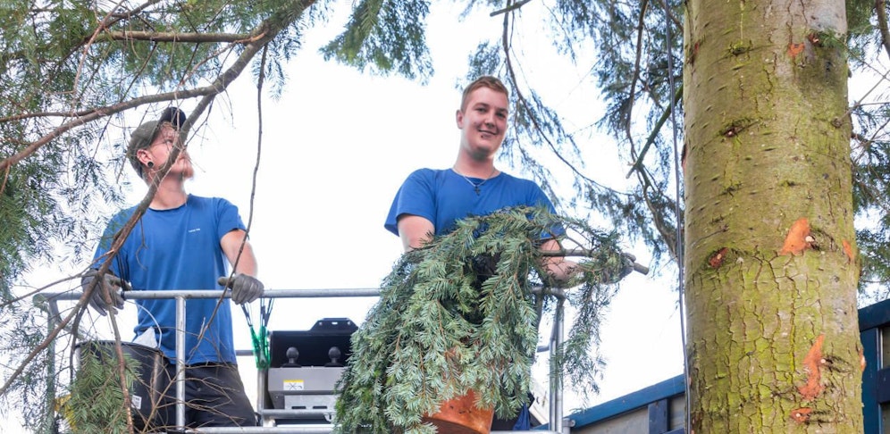 Die Linz AG-Mitarbeiter Peter (26) und Marcel (27) verarzten unseren Linzer Christbaum.