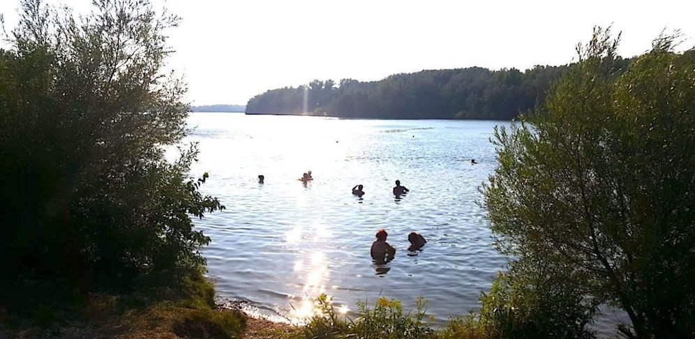 Im Donau-Altarm in Greifenstein wird gebadet.
