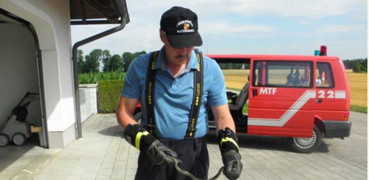 Heute.at - Wegen Hitze? Schlange verirrte sich in Kühltruhe