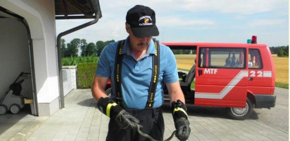 Die Schlange verirrte sich in eine Kühltruhe.