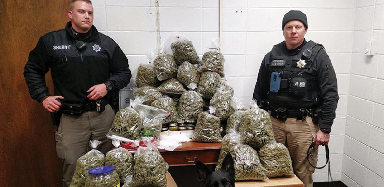 Polizei stellt die &quot;Weihnachtsgeschenke&quot; (27 Kilo Marihuana) sicher