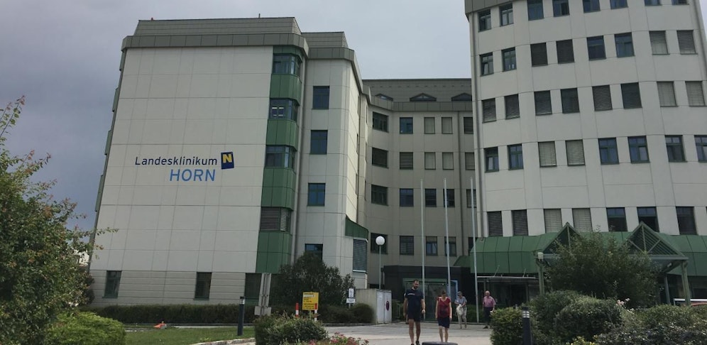 Der Mann wurde nach Horn ins Spital gebracht.