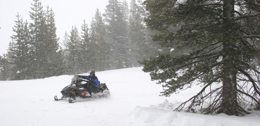 Symbolbild eines Skidoos.