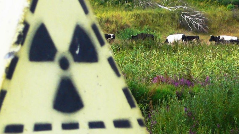 Heute.at - E3-Staaten drängen Iran zu neuen Atomgesprächen