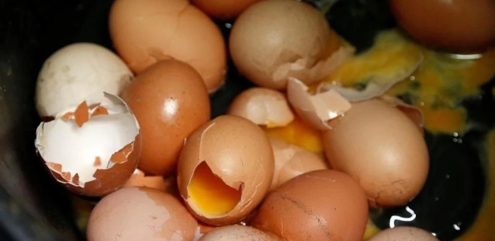 Untersuchung bestätigt den Verdacht: Jede zehnte Probe enthielt Insektengift