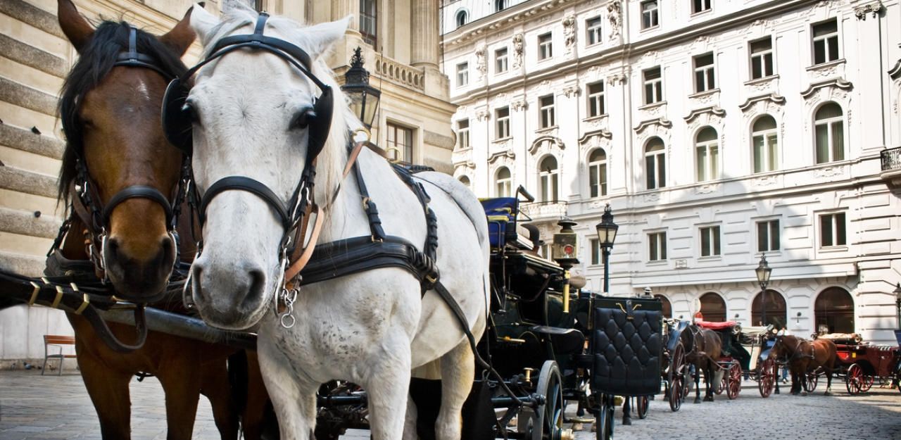 Stadt Wien unterstützt existenzbedrohte Fiaker - Wien | heute.at